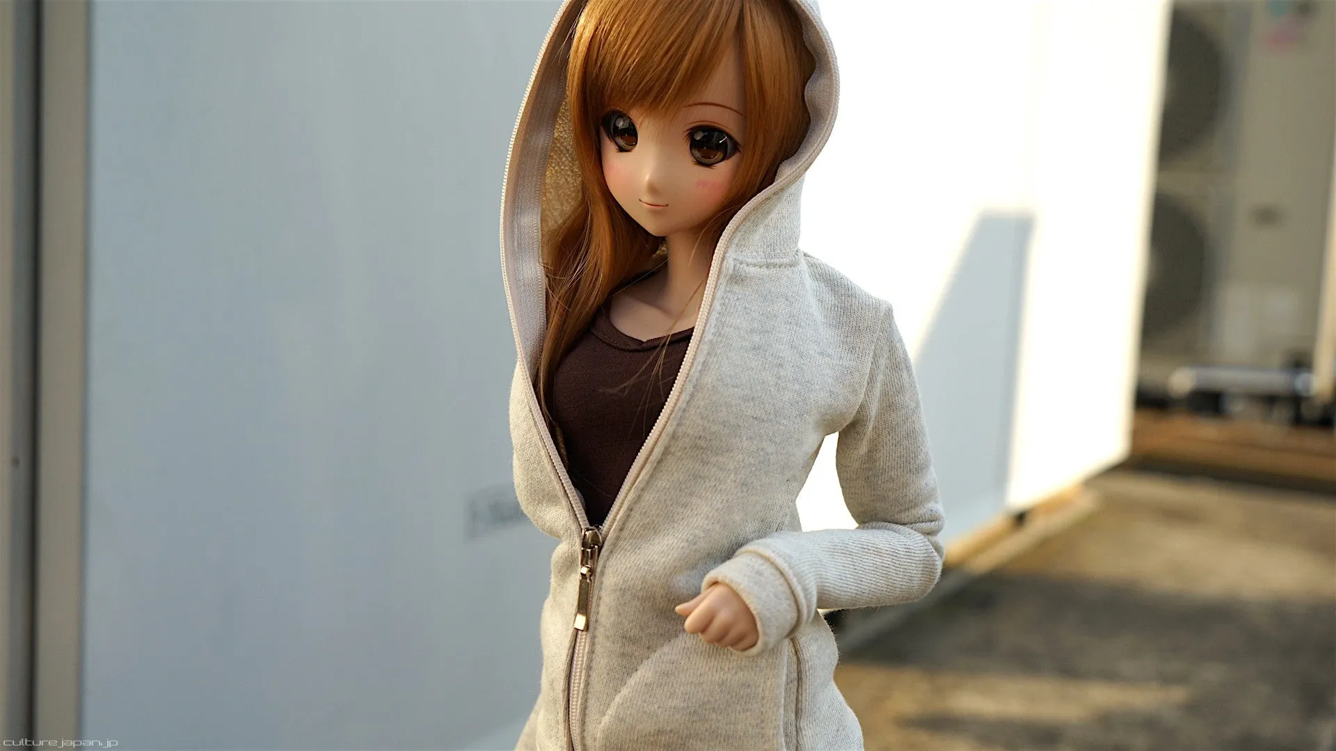 Hooded Zip Cardigan (Cream)