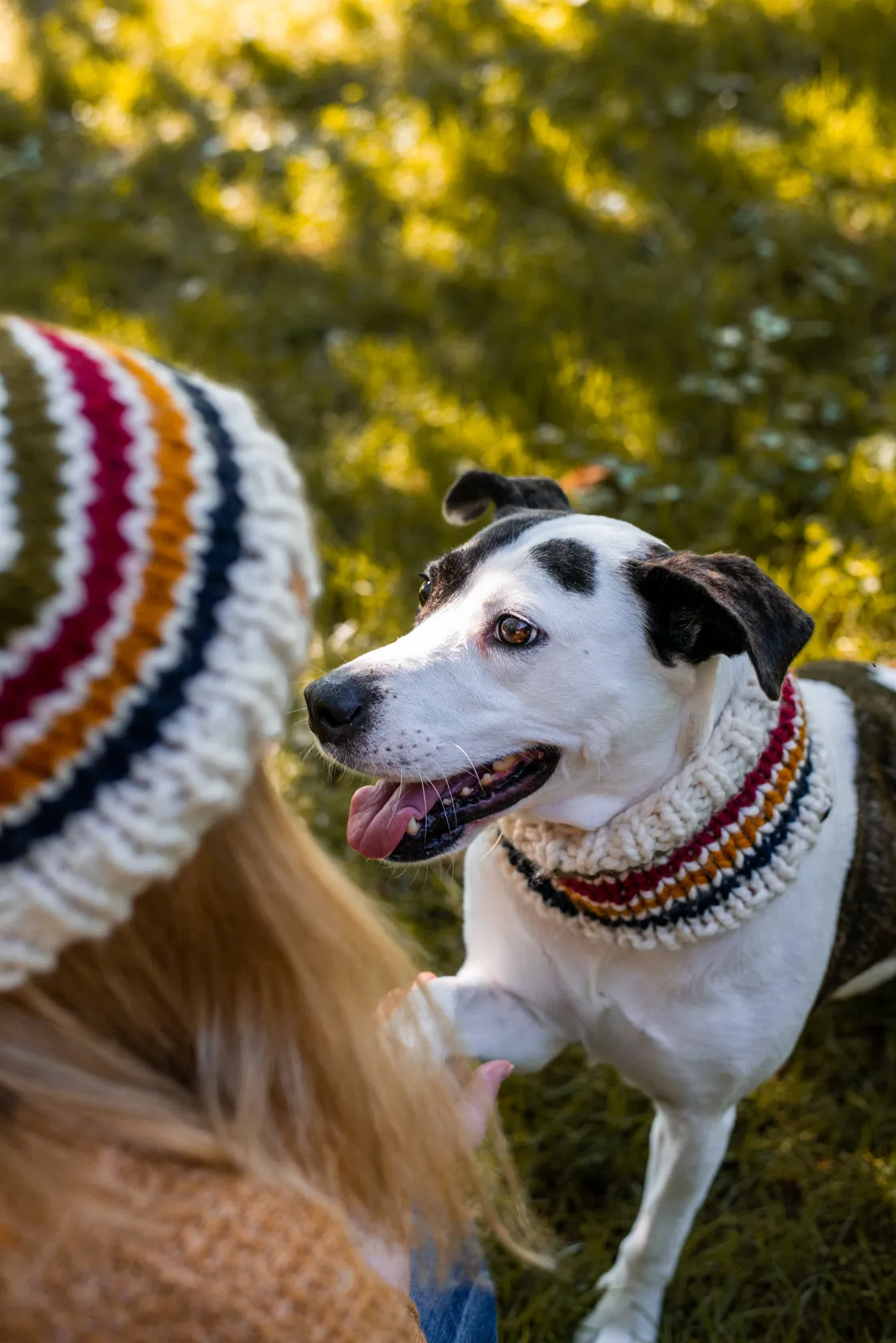 Matching Trademark Beanie & Cowl Set