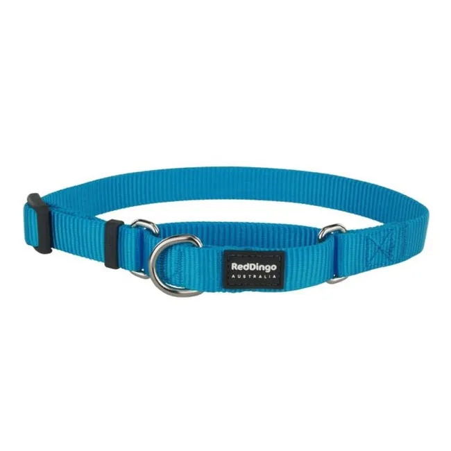 Red Dingo Dog Martingale Collar Turquoise (25mm x 41-63cm)