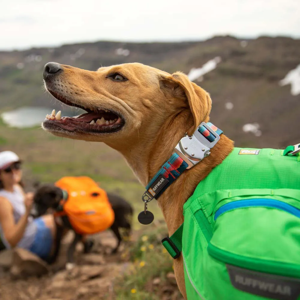 Ruffwear Top Rope Reflective Ballasted Dog Collar (Blue Dusk)