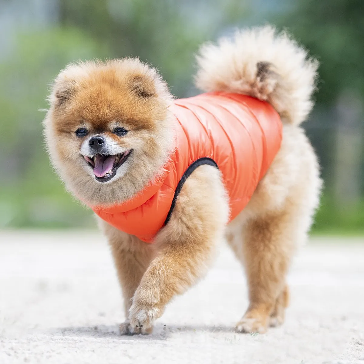 Ultralight Dog Vest B