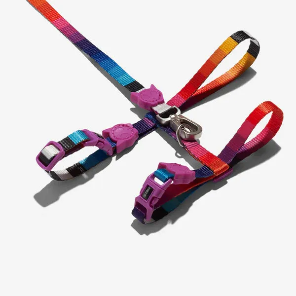 Zee.Cat Harness With Leash - Prisma